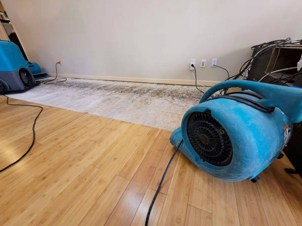 Professional Sewage Cleanup technician working in Inkster, MI